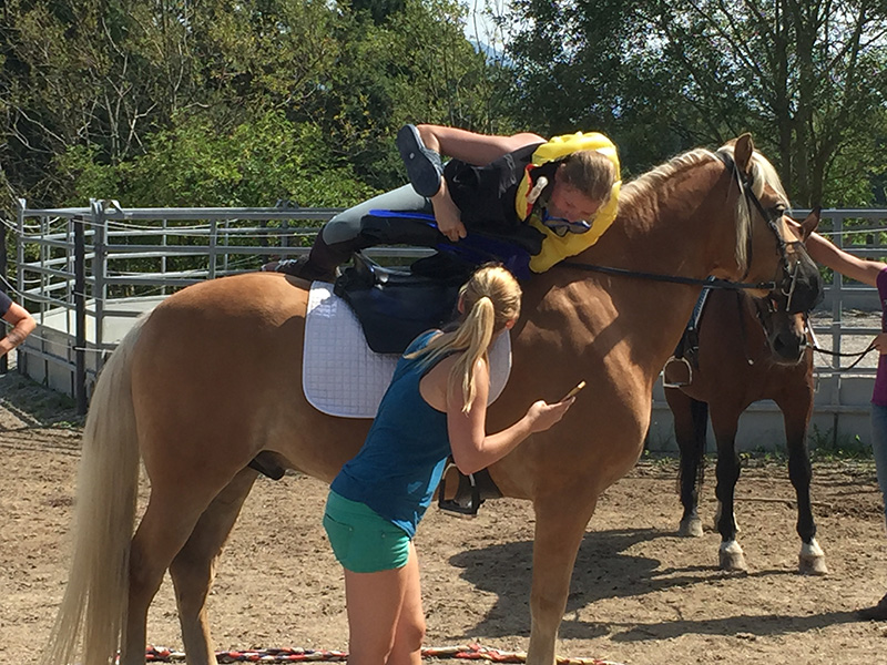 Körperbeherrschung par excellence beim Pferdeschwimm-Bewerb